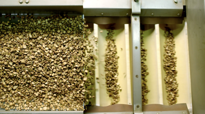 利来集团(中国)_来利国际w66俱乐部