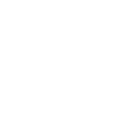 logo_256